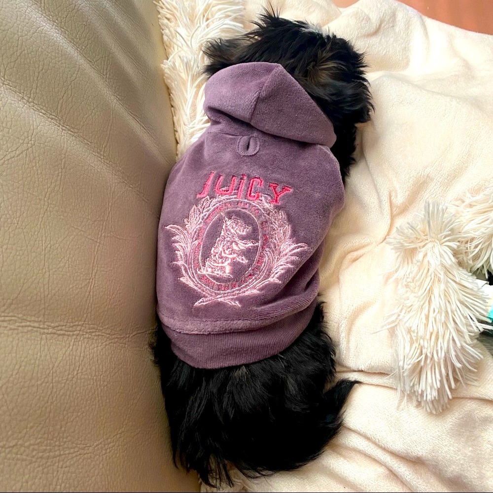 Doggie Couture Juicy Couture Dog Hoodie Sweater XS